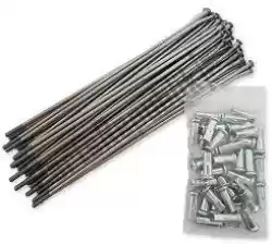 Here you can order the spare part spokeset rear 18-2. 15 all wheels from REX, with part number 485102000:
