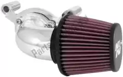 Here you can order the filter, air performance air intake system from K&N, with part number 13831131P: