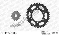 Here you can order the chain kit chain kit, 3d, steel from Threed, with part number 393D1289203: