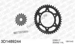 Here you can order the chain kit chain kit, 3d, steel from Threed, with part number 393D1489244:
