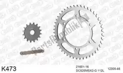 Here you can order the chain kit chain kit, steel from DC, with part number 39K473:
