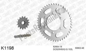 DC 39K1198 chain kit chain kit, steel - Bottom side