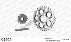 Here you can order the chain kit chain kit, steel from DC, with part number 39K1202: