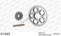 39K1343, DC, Chain kit chain kit, steel    , New
