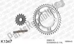 Here you can order the chain kit chain kit, steel from DC, with part number 39K1347: