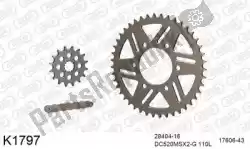 Here you can order the chain kit chain kit, alu 520 conv from DC, with part number 39K1797: