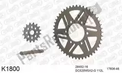 Here you can order the chain kit chain kit, alu 520 conv from DC, with part number 39K1800: