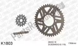 Here you can order the chain kit chain kit, alu 520 conv from DC, with part number 39K1803:
