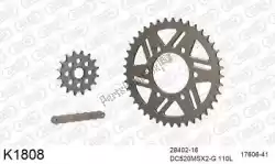 Here you can order the chain kit chain kit, alu 520 conv from DC, with part number 39K1808: