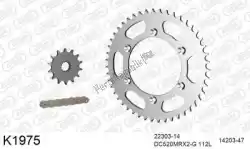 Here you can order the chain kit chain kit, steel from DC, with part number 39K1975: