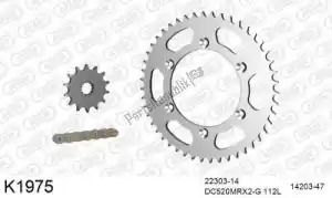 DC 39K1975 chain kit chain kit, steel - Bottom side