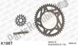 Here you can order the chain kit chain kit, alu 520 conv from DC, with part number 39K1981:
