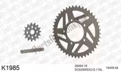 Here you can order the chain kit chainkit, alu 520 conv from DC, with part number 39K1985: