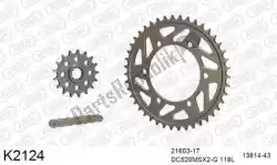 Here you can order the chain kit chain kit, alu 520 conv from DC, with part number 39K2124: