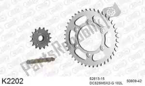 DC 39K2202 chain kit chain kit, steel - Bottom side