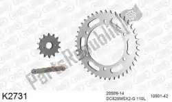 Here you can order the chain kit chain kit, steel from DC, with part number 39K2731: