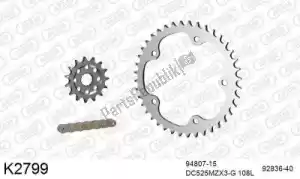 DC 39K2799 chain kit chain kit, steel - Bottom side
