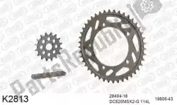 Here you can order the chain kit chain kit, alu 520 conv from DC, with part number 39K2813: