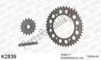 39K2839, DC, Chain kit chain kit, aluminum    , New