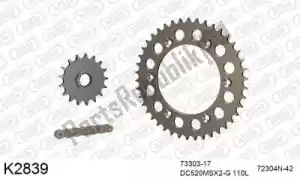 DC 39K2839 chain kit chain kit, aluminum - Bottom side
