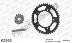 Here you can order the chain kit chain kit, steel from DC, with part number 39K2866: