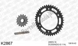 Here you can order the chain kit chain kit, steel from DC, with part number 39K2867: