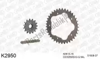 39K2950, DC, Chain kit chain kit, aluminum    , New