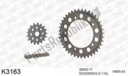Here you can order the chain kit chain kit, alu 520 conv from DC, with part number 39K3163: