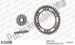 Here you can order the chain kit chain kit, alu 520 conv from DC, with part number 39K3356: