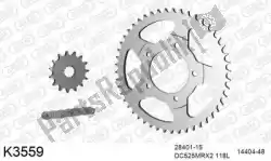Here you can order the chain kit chain kit, steel from DC, with part number 39K3559: