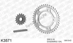 Here you can order the chain kit chain kit, steel from DC, with part number 39K3571: