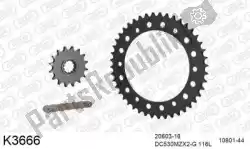 Here you can order the chain kit chain kit, steel from DC, with part number 39K3666: