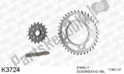 Here you can order the chain kit chain kit, steel from DC, with part number 39K3724: