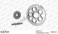 39K3731, DC, Chain kit chain kit, steel    , New