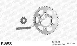 Here you can order the chain kit chain kit, steel from DC, with part number 39K3900: