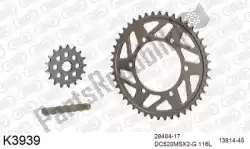 Here you can order the chain kit chain kit, alu 520 conv from DC, with part number 39K3939: