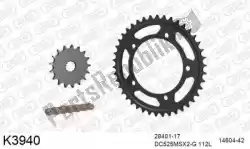Here you can order the chain kit chain kit, steel from DC, with part number 39K3940: