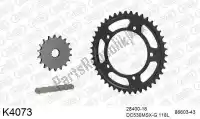 39K4073, DC, Chain kit chain kit, steel    , New