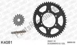 Here you can order the chain kit chain kit, steel from DC, with part number 39K4081: