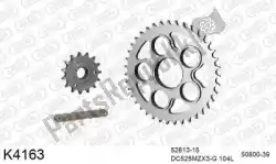 Here you can order the chain kit chain kit, steel from DC, with part number 39K4163: