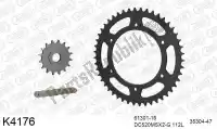 39K4176, DC, Chain kit chain kit, steel    , New