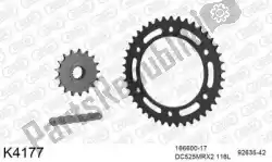 Here you can order the chain kit chain kit, steel from DC, with part number 39K4177: