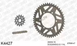 Here you can order the chain kit chain kit, alu 520 conv from DC, with part number 39K4427: