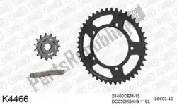 Here you can order the chain kit chain kit, steel from DC, with part number 39K4466: