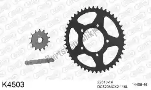 DC 39K4503 chain kit chain kit, steel - Bottom side
