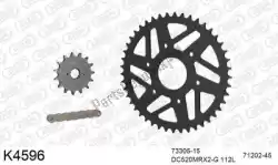 Here you can order the chain kit chain kit, steel from DC, with part number 39K4596: