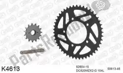 Here you can order the chain kit chain kit, steel from DC, with part number 39K4613: