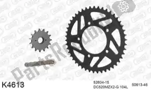 DC 39K4613 chain kit chain kit, steel - Bottom side