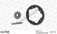 39K4768, DC, Kit catena kit catena, acciaio    , Nuovo