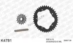 Here you can order the chain kit chain kit, steel 520 conv from DC, with part number 39K4781: